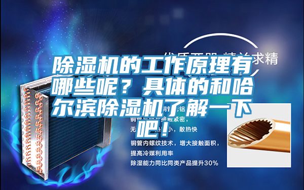 除濕機的工作原理有哪些呢？具體的和哈爾濱除濕機了解一下吧！