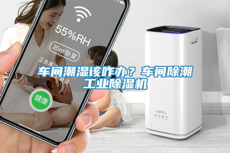 車間潮濕該咋辦？車間除潮工業(yè)除濕機(jī)