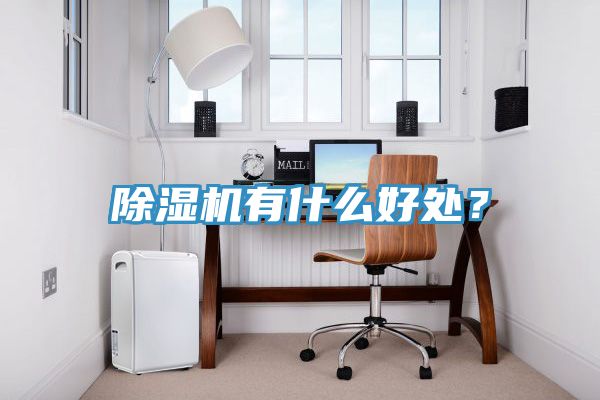 除濕機(jī)有什么好處？
