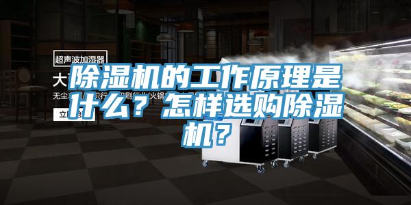 除濕機的工作原理是什么？怎樣選購除濕機？