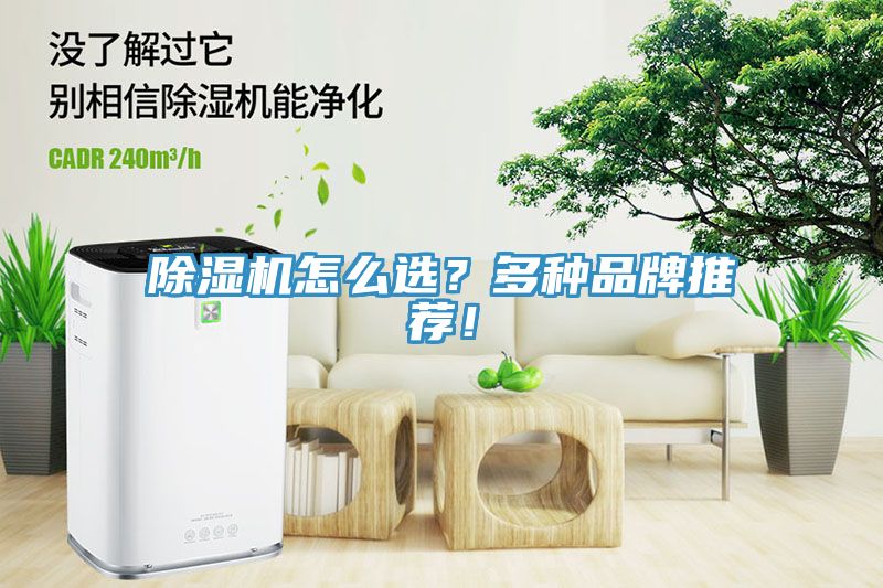 除濕機(jī)怎么選？多種品牌推薦！