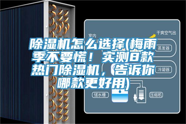 除濕機(jī)怎么選擇(梅雨季不要慌！實(shí)測8款熱門除濕機(jī)，告訴你哪款更好用)