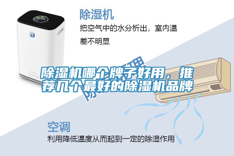 除濕機(jī)哪個(gè)牌子好用，推薦幾個(gè)最好的除濕機(jī)品牌