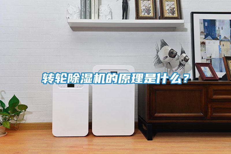 轉(zhuǎn)輪除濕機的原理是什么？