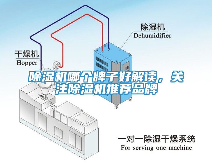 除濕機(jī)哪個(gè)牌子好解讀，關(guān)注除濕機(jī)推薦品牌