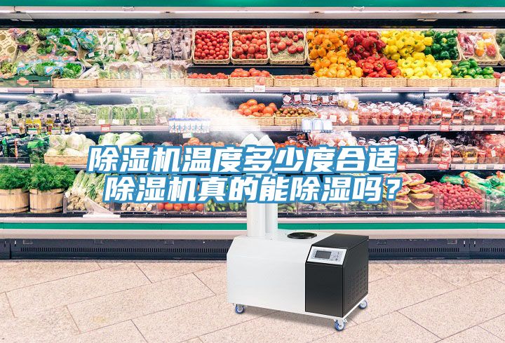 除濕機溫度多少度合適 除濕機真的能除濕嗎？
