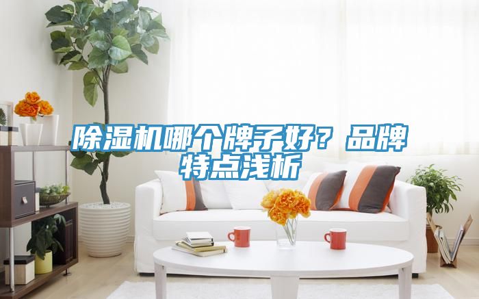 除濕機(jī)哪個(gè)牌子好？品牌特點(diǎn)淺析