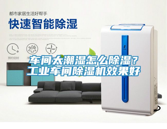 車間太潮濕怎么除濕？工業(yè)車間除濕機(jī)效果好