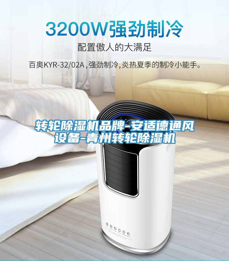 轉(zhuǎn)輪除濕機品牌-安適德通風設備-青州轉(zhuǎn)輪除濕機