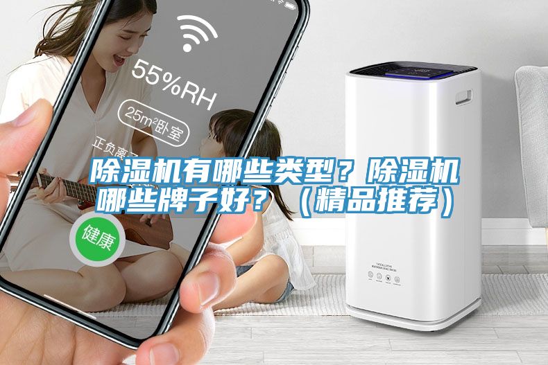 除濕機(jī)有哪些類型？除濕機(jī)哪些牌子好？（精品推薦）