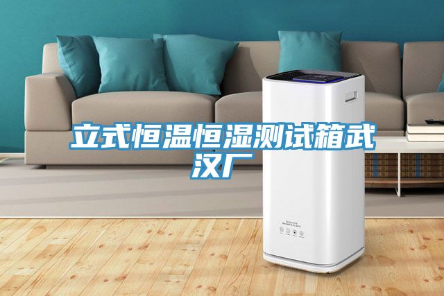 立式恒溫恒濕測(cè)試箱武漢廠(chǎng)
