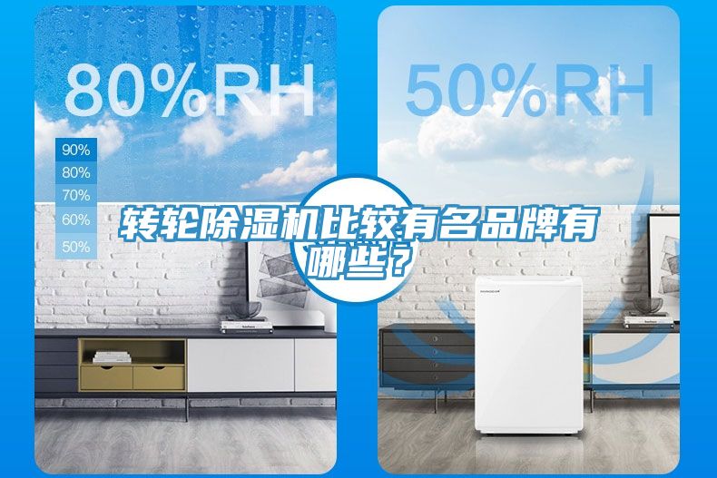 轉(zhuǎn)輪除濕機比較有名品牌有哪些？